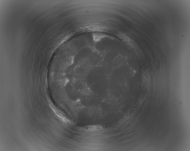 X0000080670398200701121638