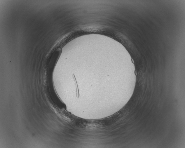 X0000080670400200701121638