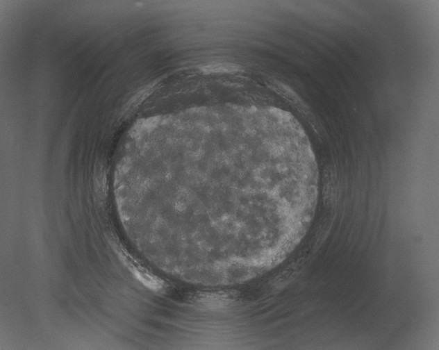 X0000080670405200701121638