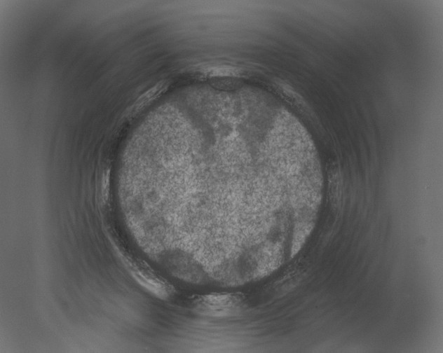 X0000080670406200701121638