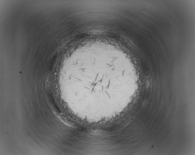 X0000080670408200701121638