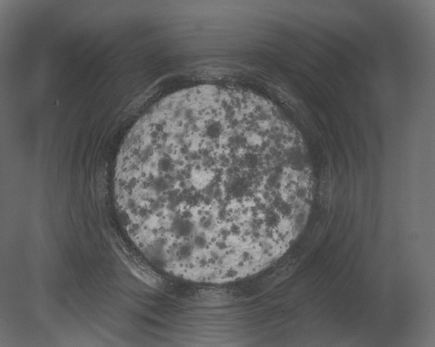 X0000080670413200701121638