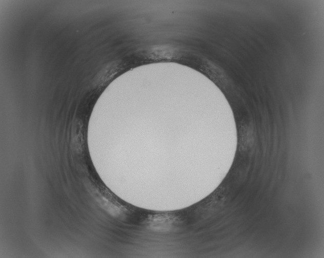 X0000080670414200701121638