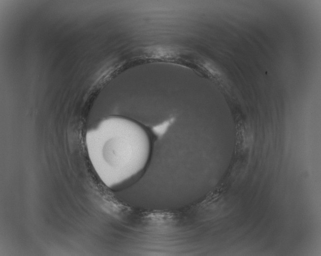 X0000080670415200701121638