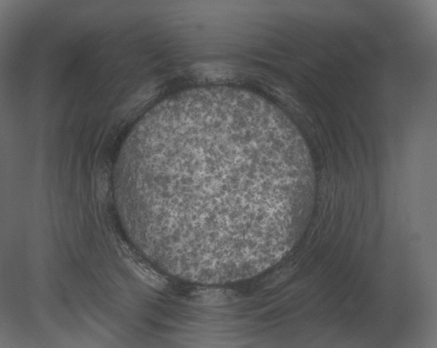 X0000080670417200701121638