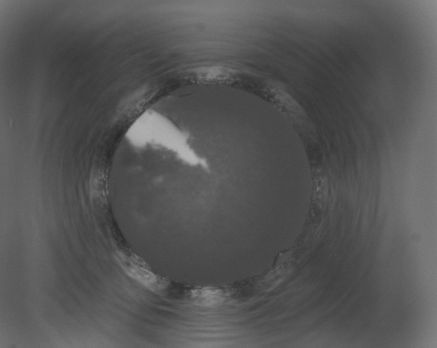 X0000080670419200701121638