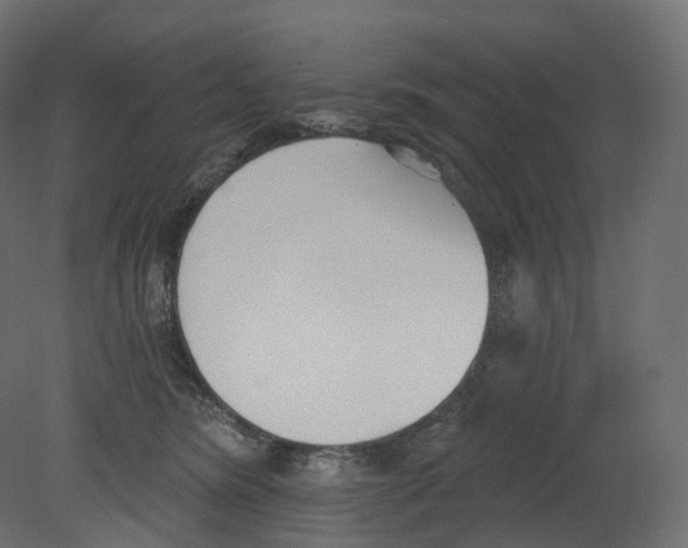 X0000080670420200701121637