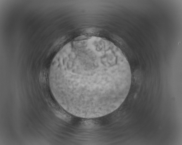 X0000080670423200701121637