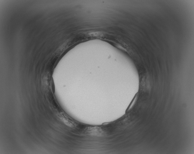 X0000080670424200701121637