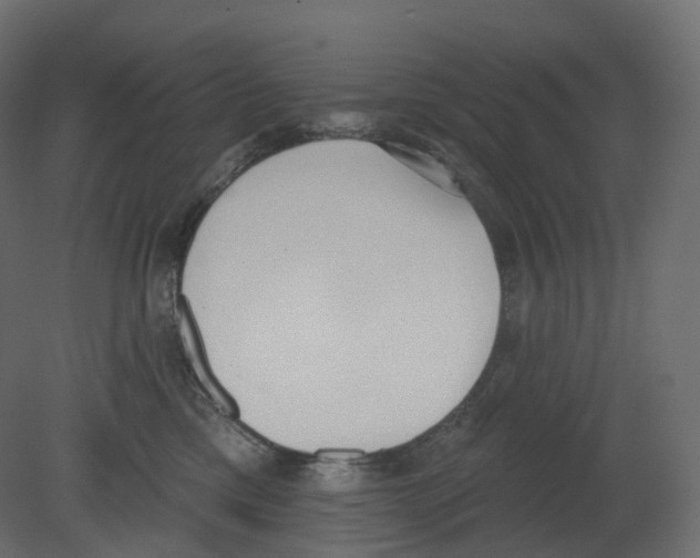 X0000080670425200701121637