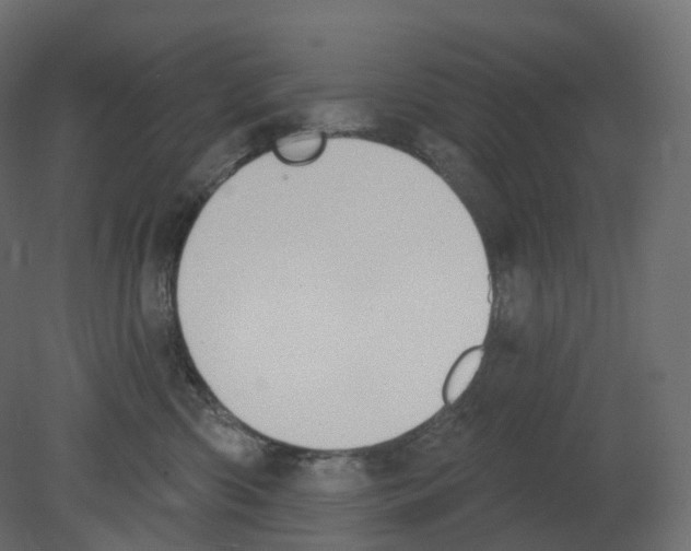 X0000080670426200701121637