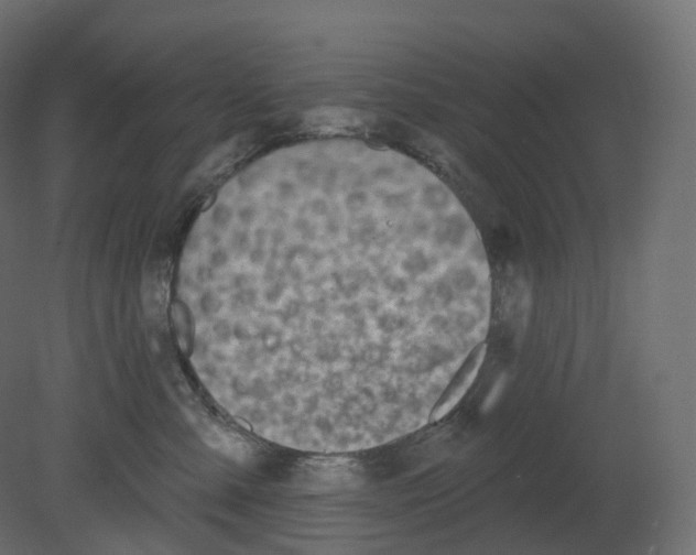 X0000080670427200701121637