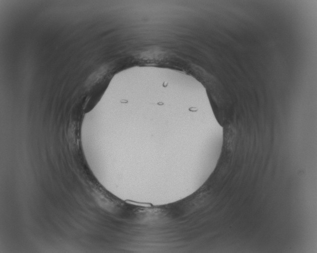 X0000080670428200701121637