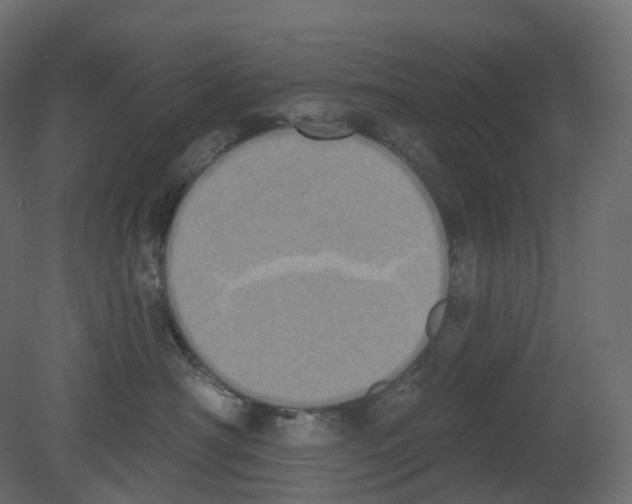 X0000080670430200701121637