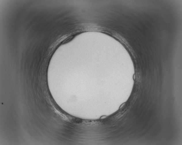 X0000080670433200701121636