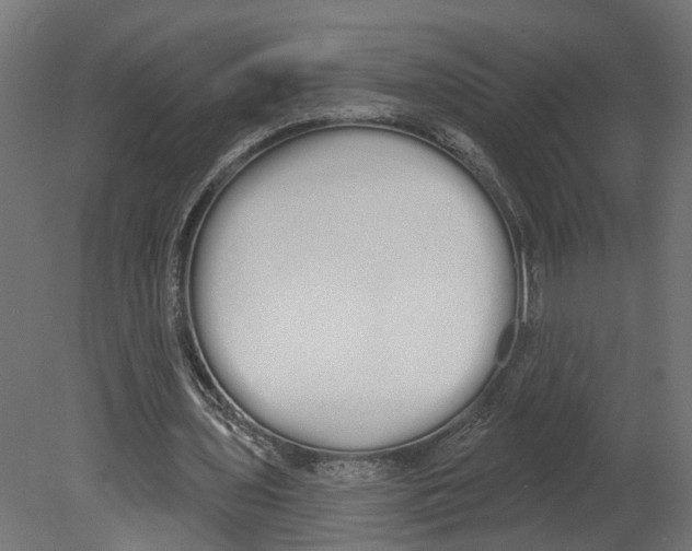 X0000080670435200701121636