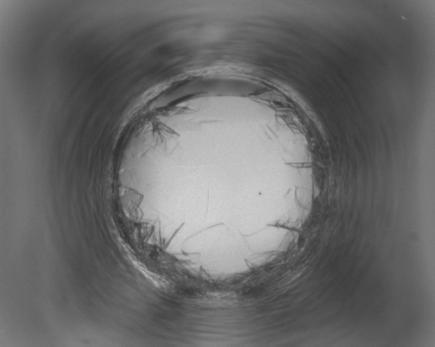 X0000080670437200701121637