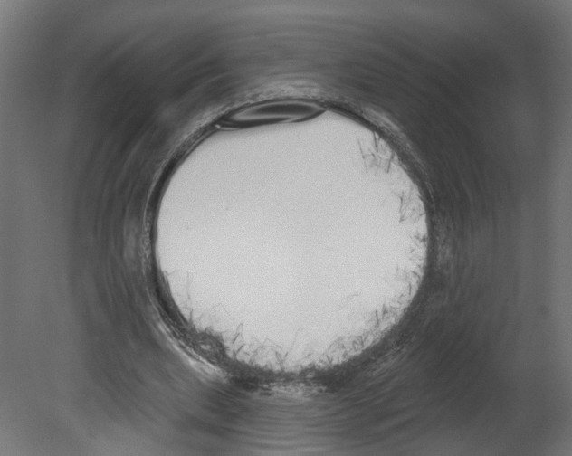 X0000080670439200701121637