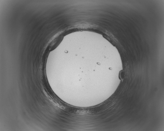 X0000080670440200701121637