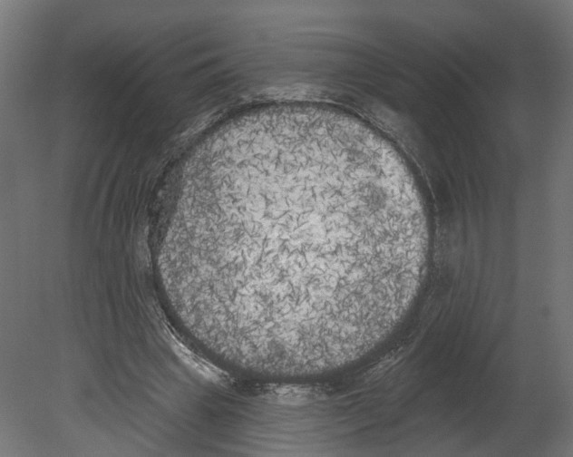 X0000080670441200701121637