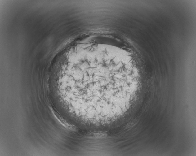 X0000080670443200701121637