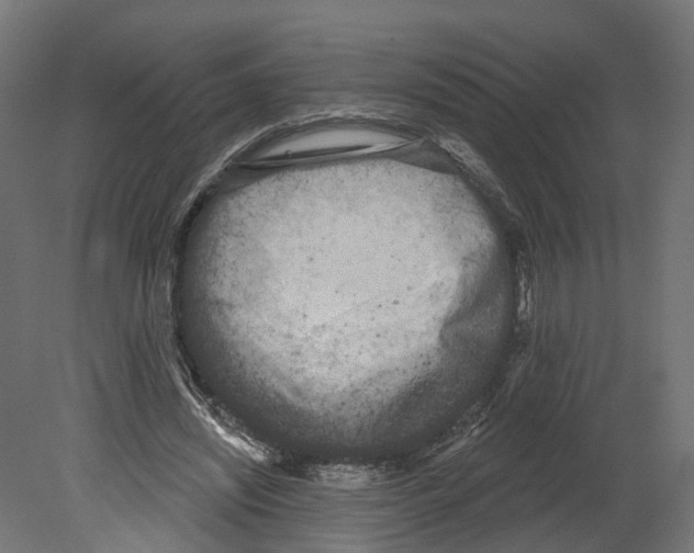 X0000080670444200701121637