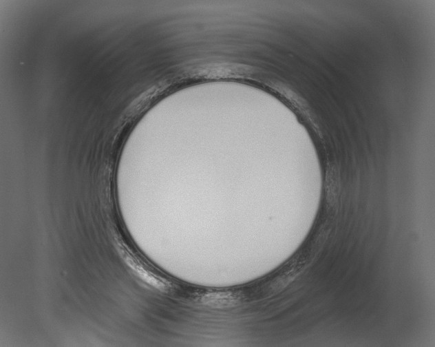 X0000080670445200701121637