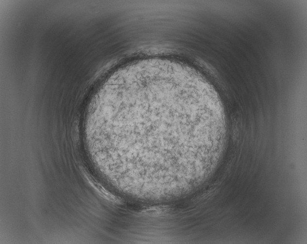 X0000080670447200701121637