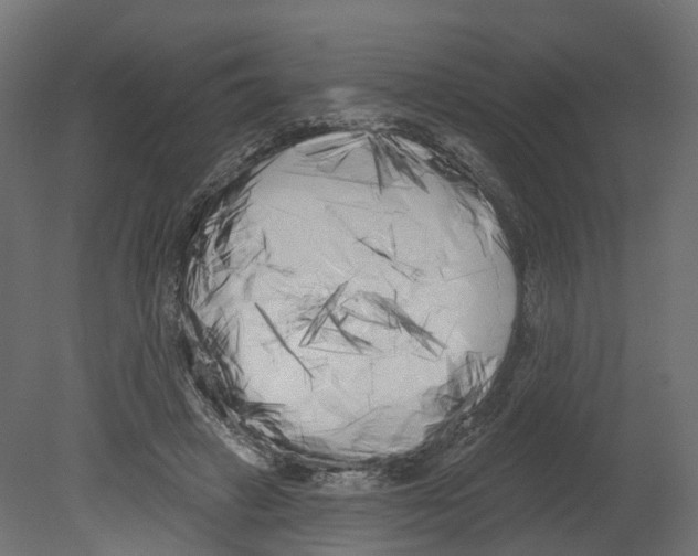 X0000080670449200701121637