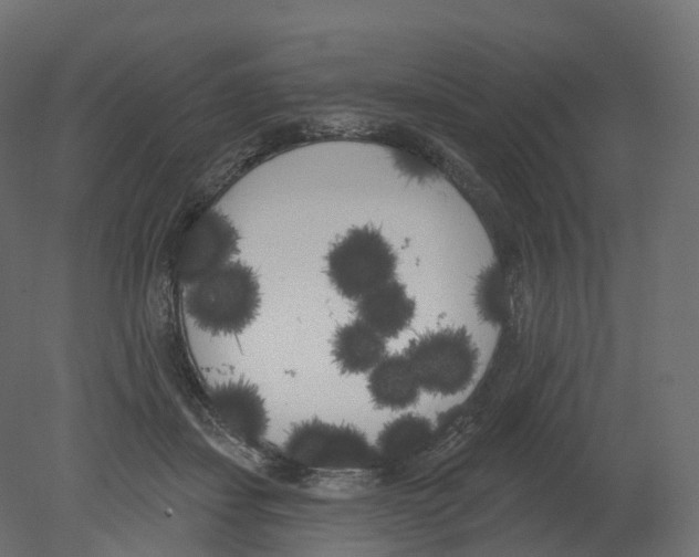 X0000080670459200701121637