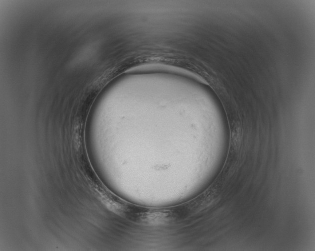 X0000080670462200701121637