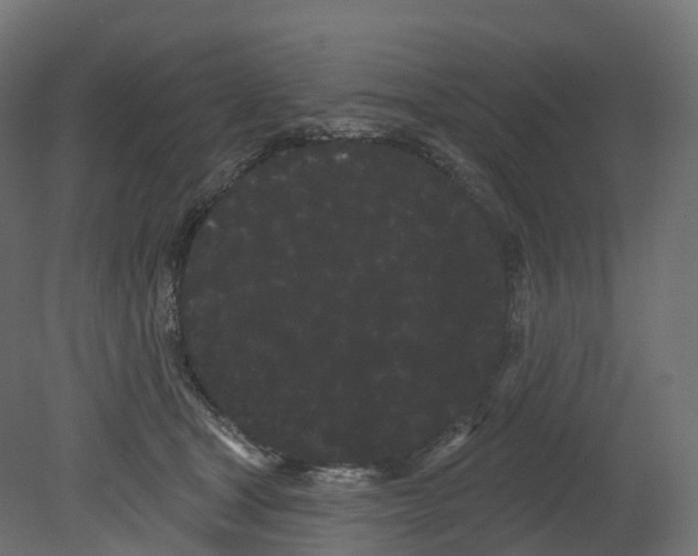 X0000080670465200701121637