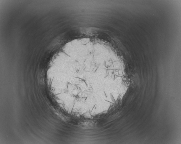 X0000080670466200701121637