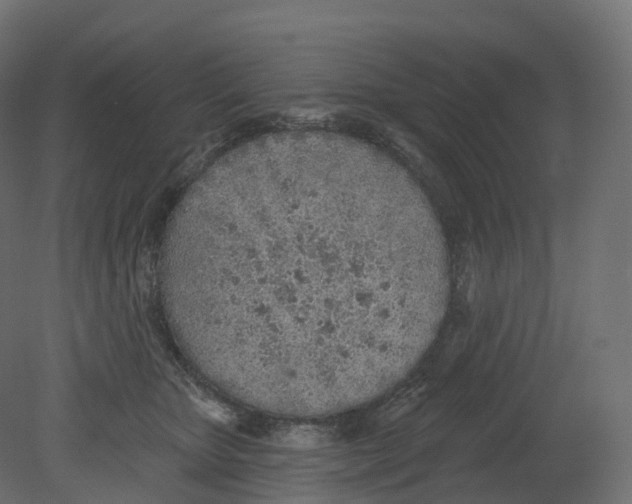 X0000080670467200701121637