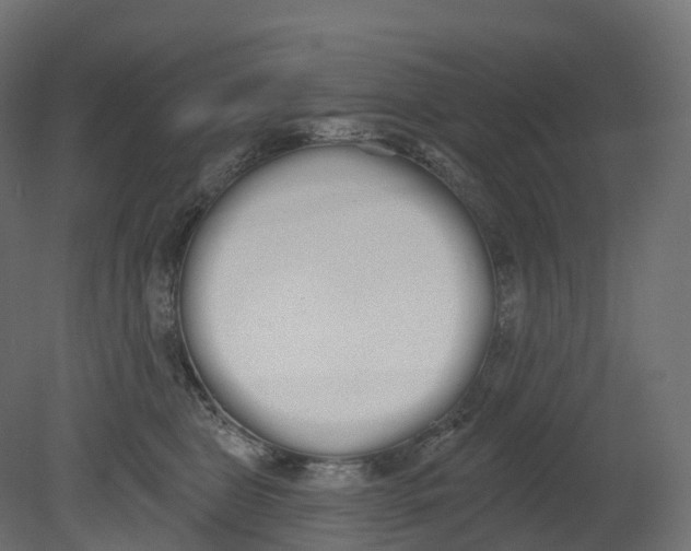 X0000080670469200701121637