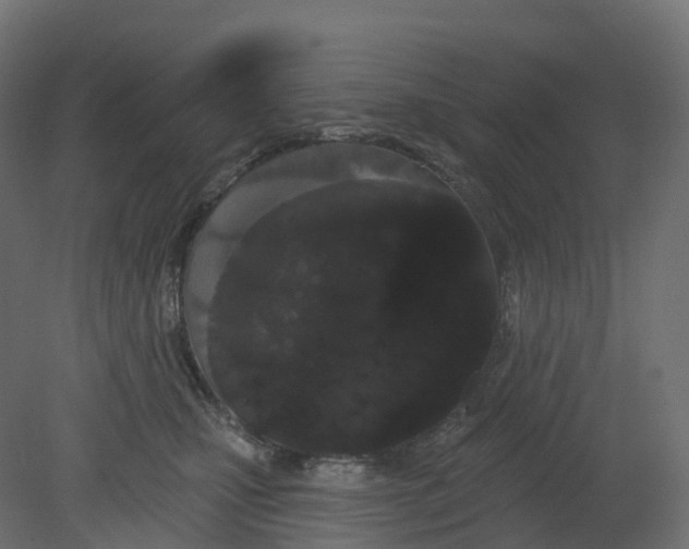 X0000080670471200701121637