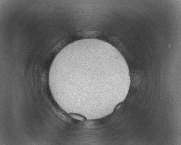 X0000080670472200701121637