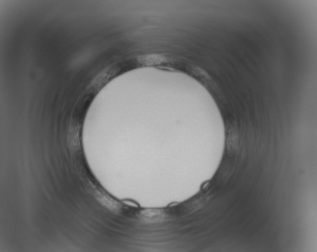 X0000080670477200701121637