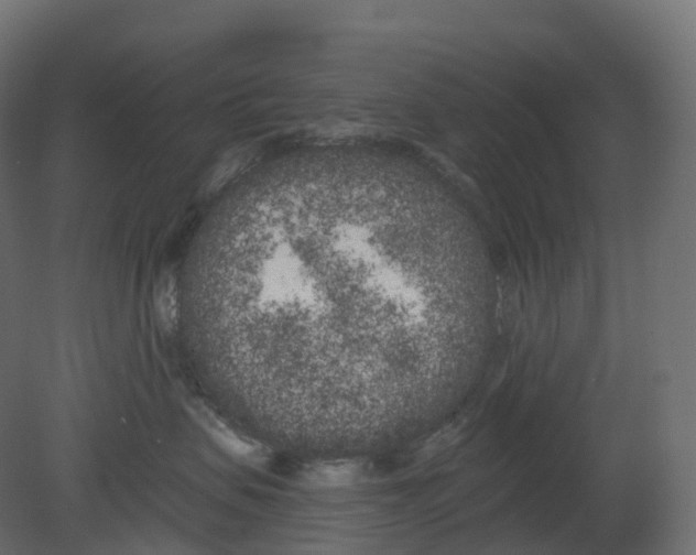 X0000080670479200701121637