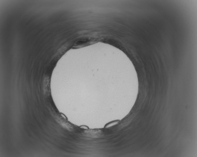 X0000080670480200701121637