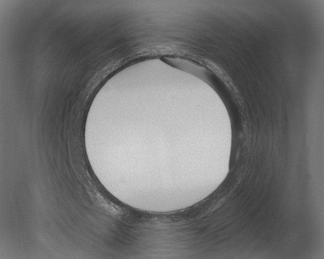 X0000080670481200701121636