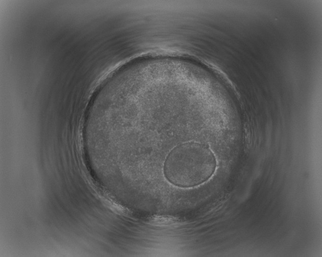 X0000080670487200701121636