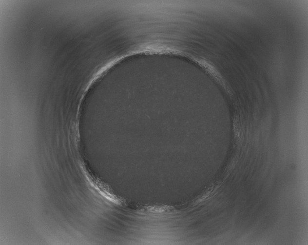 X0000080670488200701121636