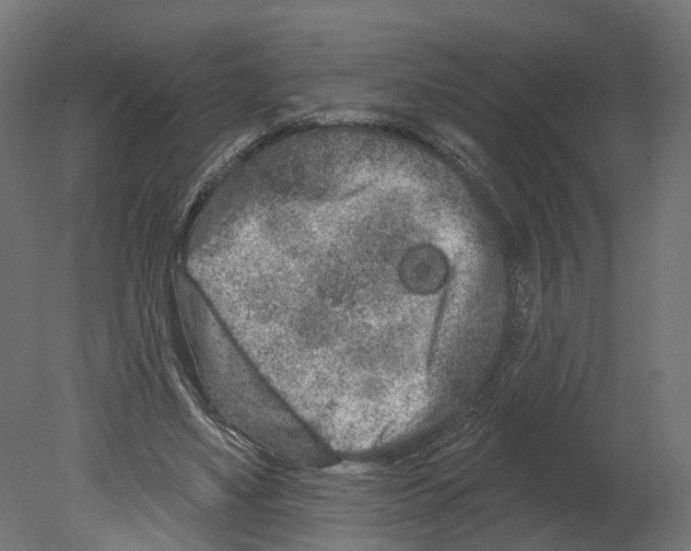 X0000080670491200701121636