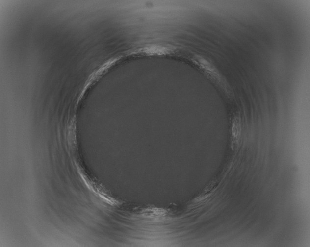 X0000080670492200701121636