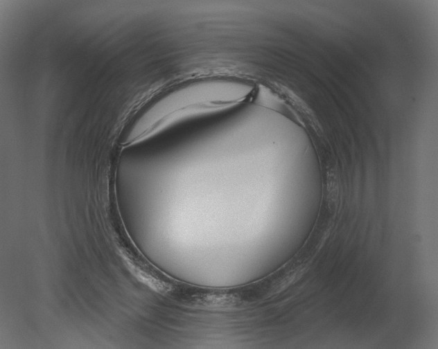 X0000080670493200701121636