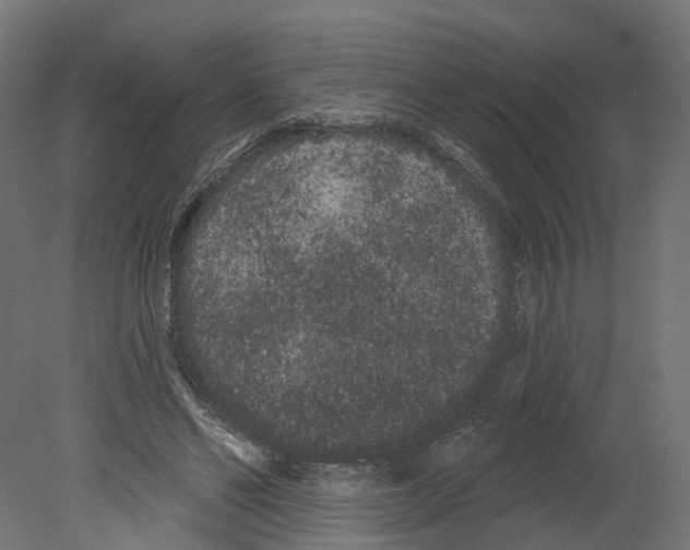 X0000080670494200701121636