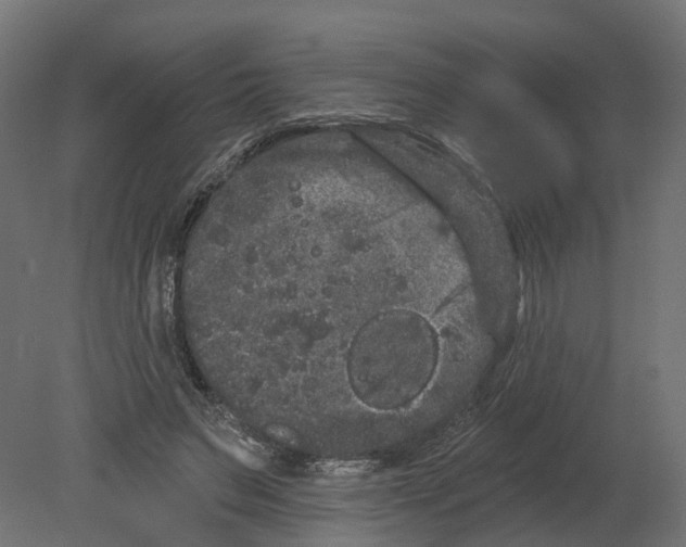 X0000080670495200701121636