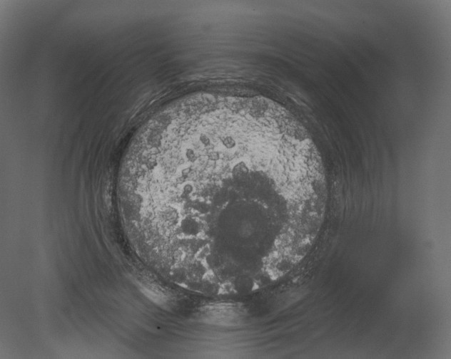 X0000080670499200701121636