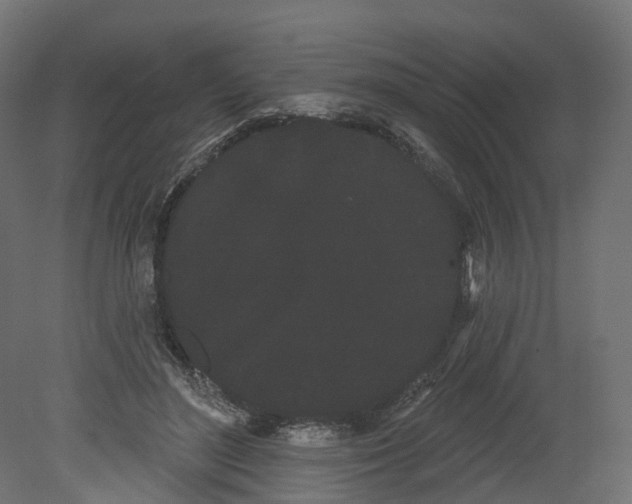 X0000080670500200701121636